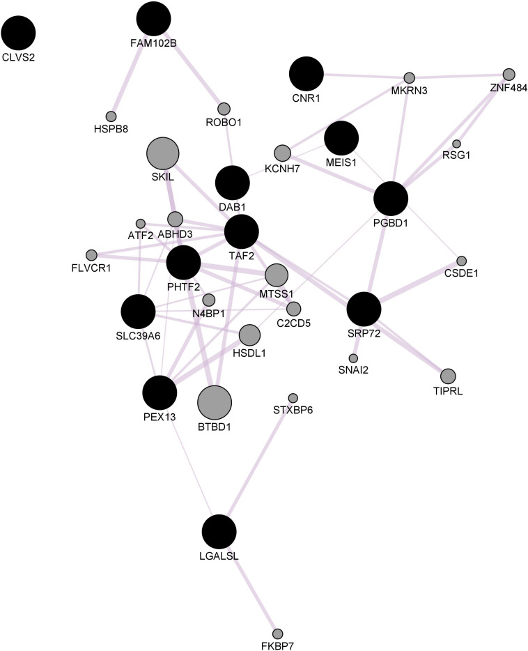 Striatal CNR1 gene network using GeneMANIA. Black circles indicate query genes, whereas gray circles indicate related genes added by GeneMANIA. Node sizes represent gene scores, reflecting how often paths that start at a given gene node end up in one of the query genes.