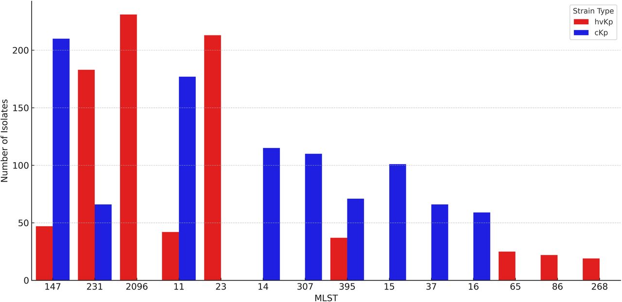Distribution of major multi-locus sequence types (MLSTs) among hvKp and cKp isolates.Bar plot showing the number of K. pneumoniae isolates belonging to the most prevalent sequence types (STs), stratified by strain type: hypervirulent (hvKp, red) and classical (cKp, blue). While hvKp was dominated by ST231 and ST23, cKp exhibited a broader ST diversity, with ST14 and ST147 among the most common.