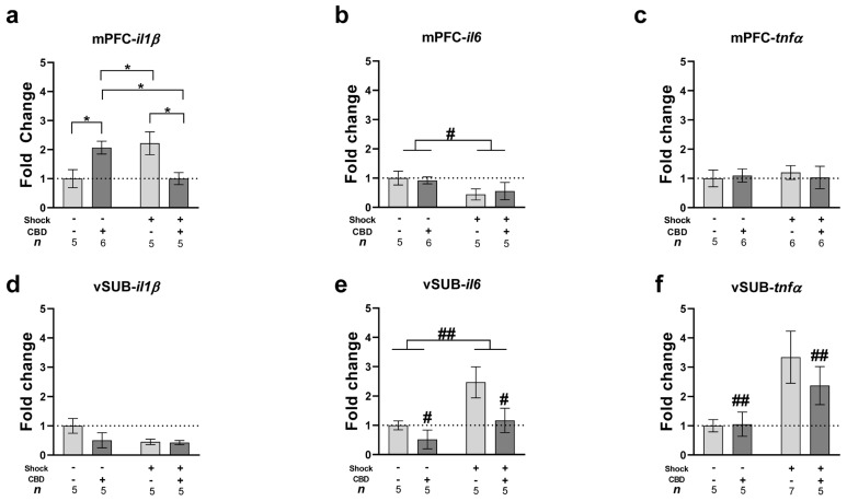 Effects of CBD on mRNA expression of inflammatory genes (il1β, il6, and tnfα) in rats exposed to shock and SRs in the mPFC and vSUB. Rats were sacrificed on day 42, following five days of rest after the FST. (a) Chronic CBD treatment normalized the upregulation of mPFC-il1β induced by shock and SRs. Additionally, CBD increased mPFC-il1β expression in non-stressed groups compared to vehicle. (b) Exposure to shock and SRs downregulated mPFC-il6 expression, with no effect of CBD treatment. (c) No significant differences were found in mPFC- tnfα expression. (d) Similarly, no significant differences were found in vSUB-il1β expression. (e) Exposure to shock and SRs upregulated vSUB-il6 expression compared to non-stressed females, an effect attenuated by CBD treatment. (f) CBD treatment downregulated vSUB-tnfα expression in stressed females compared to the vehicle group. *, p < 0.05 indicates statistically significant effects followed by post hoc comparisons; #, p < 0.05; ##, p < 0.01 indicate statistical significance in main effects.