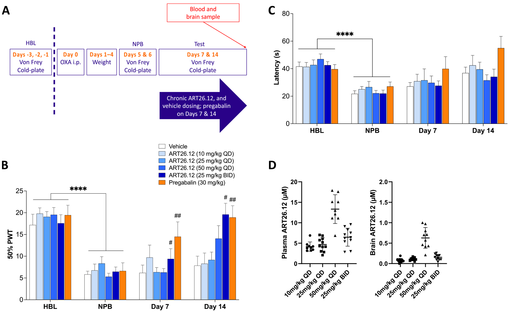 Treatment of established OIPN with various doses of ART26.12. OIPN was induced by a single IP dose of OXA on Day 0 with HBL and NPB measured on Day −1/−2 and Days 5/6, respectively. ART26.12 was chronically administered PO from Days 7 to 14 at multiple doses, whilst pregabalin was dosed acutely only on Days 7 and 14 (A). PWT and cold plate latencies were measured on Days 7 and 14 (B, C). Plasma and brain concentrations of ART26.12 samples were taken on Day 14 (D). Pregabalin n = 8, ART26.12 (25 mg/kg QD) n = 11, all other groups n = 10. ****P < .0001 when comparing between healthy baseline and a neuropathic baseline. #P < .05, ##P < .01 when comparing between drug treatment and vehicle. HBL, healthy baseline; IP, intraperitoneally; NPB, neuropathic baseline; OIPN, oxaliplatin-induced peripheral neuropathy; OXA, oxaliplatin; PO, orally; PWT, paw withdrawal threshold.
