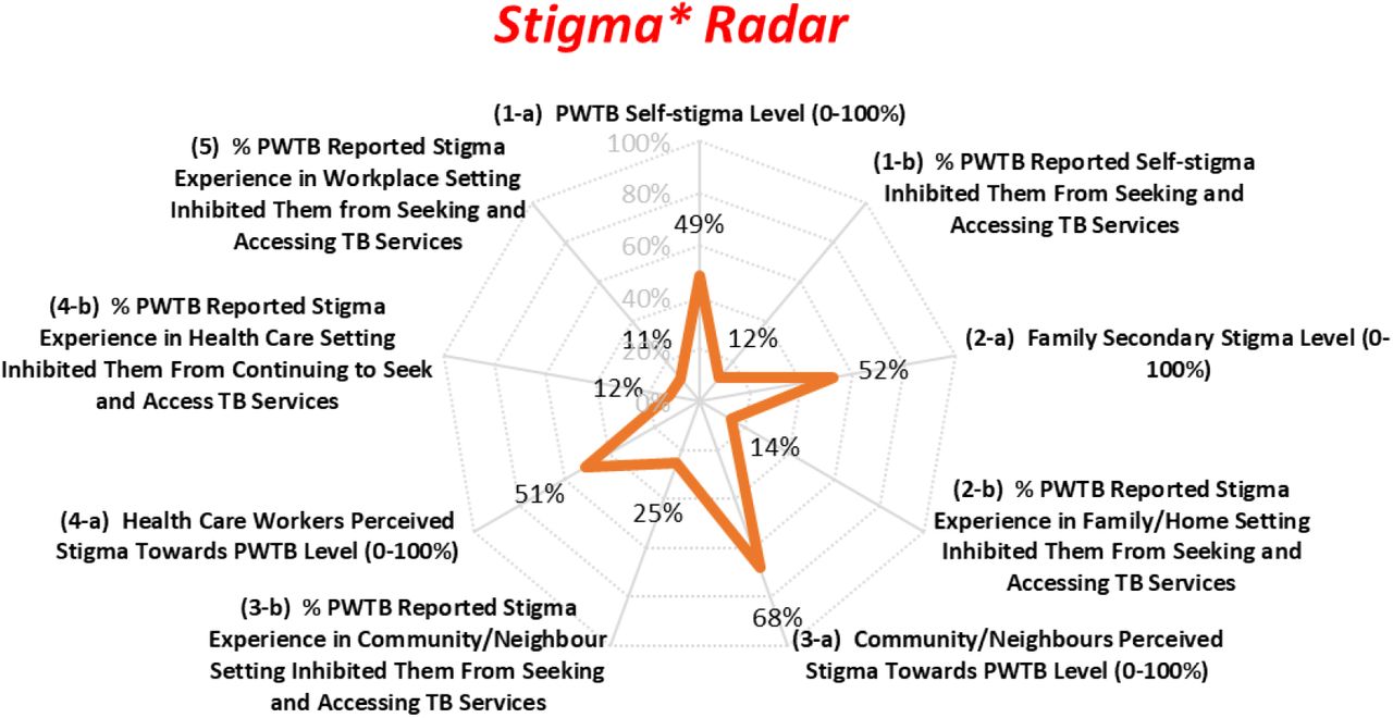 Stigma Radar* adapted from the Stop TB Partnership stigma assessment handbook (26).
