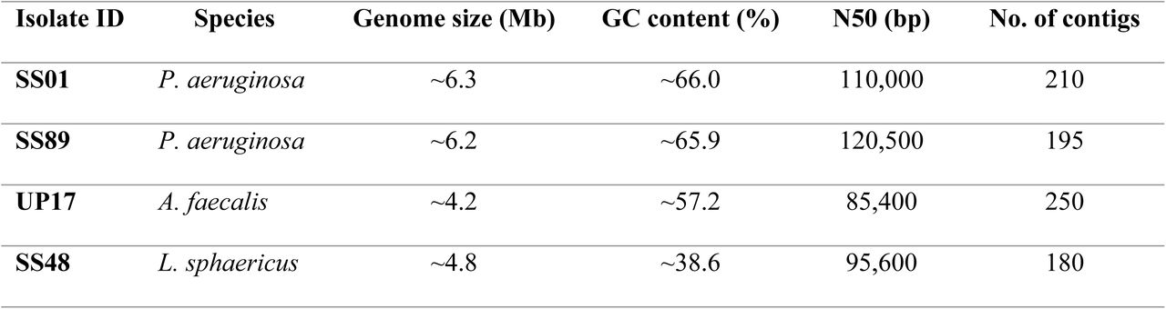 Summary of genome assembly statistics for the four isolates