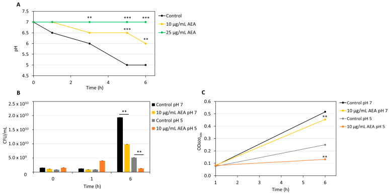 AEA reduces aciduricity and acidogenicity in S. mutans. (A) The pH of the S. mutans culture medium measured at 0, 1, and 6 h incubation with AEA (0, 12.5, and 25 µg/mL). (B) CFUs per mL of bacteria treated with 0 and 10 µg/mL AEA in pH 7 and pH 5.2 after 0, 1, and 6 h of incubation. (C) The OD of these samples measured at the same time. n = 3; ** p < 0.01, *** p < 0.001.