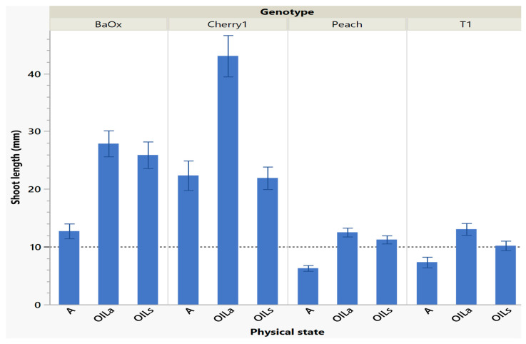Length of a shoot harvested in cycle 1 from RV750 vessels per genotype based on physical state agar (A), agitated Oasis® infused with liquid (OILa), or stationary Oasis® infused with liquid (OILS). Each standard error bar is one standard error from the mean, and the desired harvest length of 10 mm is shown with a dotted reference line.