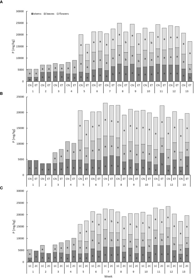 Phosphorus concentration in the dry weight among the organs of indoor-cultivated cannabis plants as affected by the augmented nutritional regime in recirculation and drain-to-waste nutrient cycles. P concentration of control (CN) and enhanced treatment (ET) under the augmented nutritional regime in recirculation (1C) growing cycle (A), in drain-to-waste (2C) growing cycle (B), ETs in 1C and 2C (C) in stems, leaves, and flowers. Data are means (n = 3). The small letters inside the bars represent significant differences within the plant organs (stems, leaves, and flowers) between the variants in a particular week, according to Tukey’s HSD test at α = 0.05.