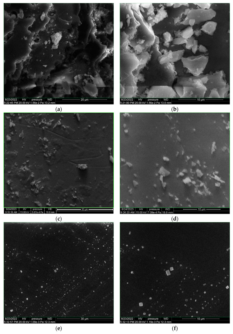 SEM images of the oyster shell target (a,b); PLD thin films obtained with single-pulsed laser of 60 mJ/pulse on glass slab (c,d); PLD thin films obtained with dual-pulsed lasers 2 × 30 mJ/pulse on glass slab (e–h); hemp fabric (i); PLD thin film obtained with dual-pulsed lasers 2 × 30 mJ/pulse on hemp fabric as support (j).