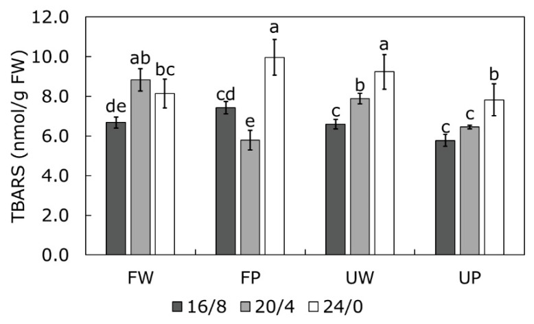 Changes in content of thiobarbituric acid reactive substances (TBARS, nmol/g FW) measured in Cannabis cultivars Finola (F) and USO31 (U) exposed to 16/8, 20/4, and 24/0 photoperiods and grown under white (W) and purple (P) light. Results are shown as mean of five independent measurements (n = 5) ± SD. Different letters represent significant differences at p ≤ 0.05 (ANOVA, LSD); LSD = 0.187.