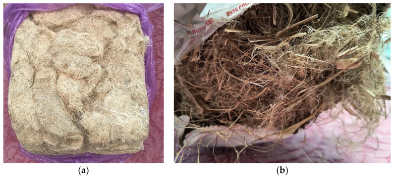 Fiber batch of (a) hemp and (b) flax.