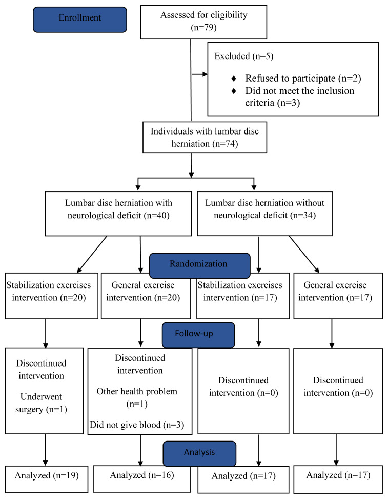 Flowchart of the study.