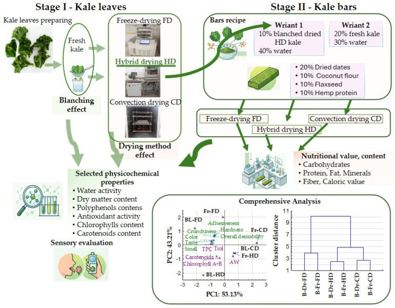 Schematic diagram of the experimental project.