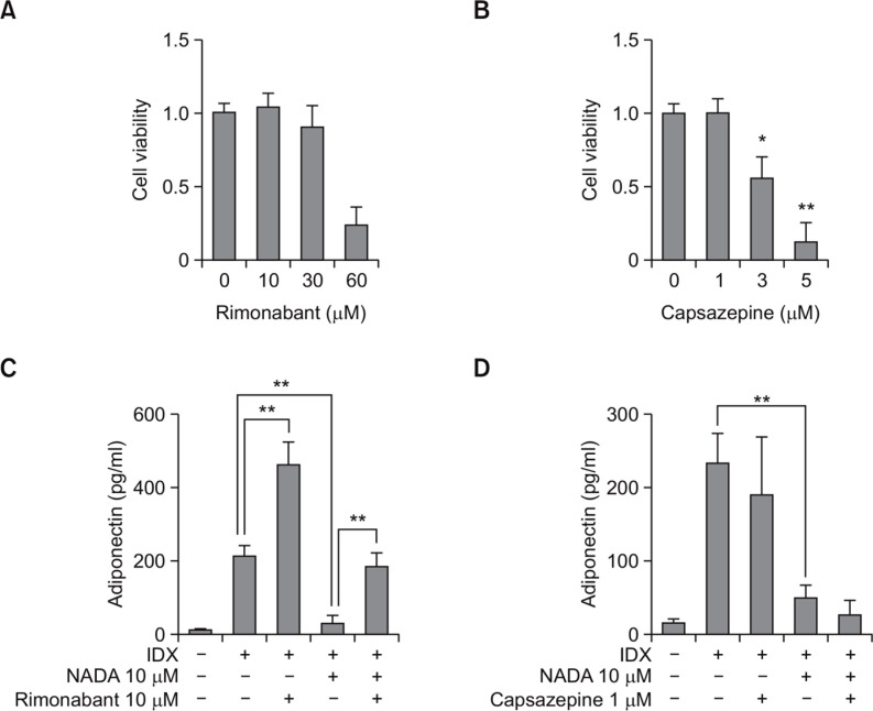 Effects of rimonabant and capsazepine on the NADA-dependent inhibition of adipogenesis in hBM-MSCs. hBM-MSCs were cultured in 24 well plates. When confluent, the cell viability effects were evaluated for rimonabant (A) and capsazepine (B), both of which were treated for 72 hours in hBM-MSC culture. The cell viability was determined by WST-1 assay. For testing the effects of capsazepine (C) and rimonabant (D) on the NADA-induced inhibition on the adipogenesis in hBM-MSCs, cell culture supernatants were harvested for the measurement of adiponectin by ELISA at the 7th days after exchanging media containing with IDX. Values represent the mean expression ± standard deviation (SD) (n=3). *p ≤0.05 and **p≤0.01.