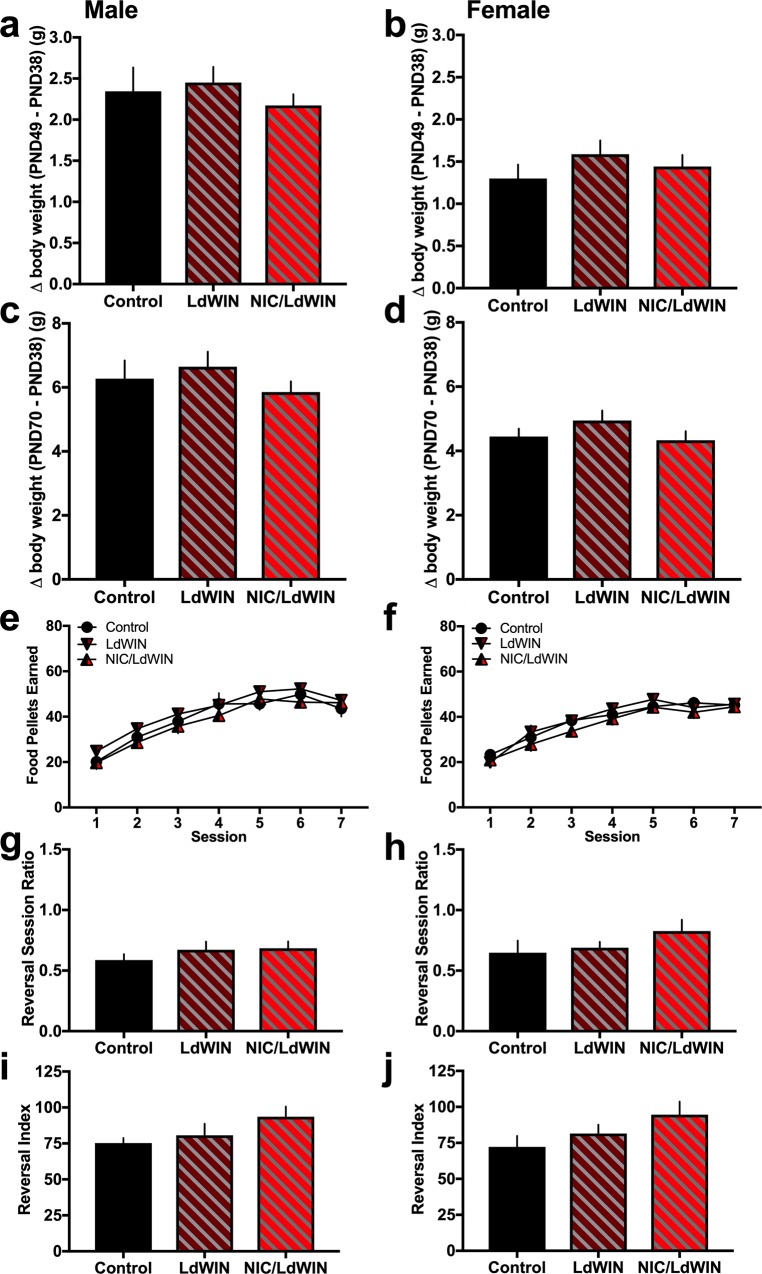 Body weight change, operant learning and cognitive flexibility following low dose exposure to the cannabinoid agonist, with or without nicotine.(a) Male mice (n = 9-16/group) were examined for their change in body weight from the first injection on PND 38 to the final day of the injection series on PND 49. Statistically significant group differences were not found. (b) Female mice (n = 13-17/group) were examined for their change in body weight from PND38 to PND 49, and no significant differences were found. (c-d) During adulthood at PND 70, differences in body weight were again not found across adolescent drug exposure conditions for either males (c) or females (d). (e) Male mice (n = 14-16/group) across groups did not differ in their ability to learn an operant task to obtain food reward. (f) Female mice (n = 14-16/group) also did not differ in their operant responding for food reward. (g-j) In the cognitive flexibility assessment, mice were next required to reverse their lever pressing behavior for the active and inactive lever. During the reversal session, the ratio of the number of active to inactive lever presses was derived; differences among groups were not found for both males (g) and females (h). The reversal index was also calculated as a comparison to the baseline day of responding prior to the lever switch. (i) Male mice did not exhibit any group differences and equally switched their lever pressing behavior to the active lever. (j) Female mice also exhibited similar indices of cognitive flexibility in switching their behavior to respond on the reassigned active lever. Control: saline and vehicle injection group; LdWIN: saline and 0.2 mg/kg WIN-55,212–2 injection group; NIC/LdWIN: nicotine and 0.2 mg/kg WIN-55,212,2 injection group. Data represent mean values ± SEM.