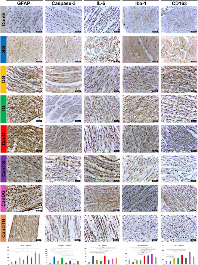 Grid of immunohistochemistry micrographs organized by experimental group and marker, showing staining for GFAP, Caspase-3, IL-6, Iba-1, and CD163 in cardiac tissue. Each column represents a marker, each row a group, with corresponding bar charts beneath quantifying positive cell density for each marker. Group labels use distinct colors for clarity.