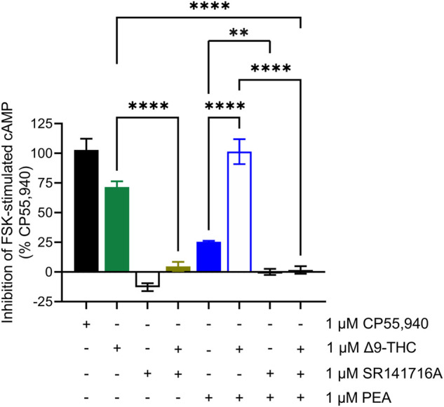 hCB1R-dependent inhibition of forskolin-stimulated cAMP accumulation. Compound activity was quantified for inhibition of 10 μM forskolin-stimulated cAMP accumulation in CHO cells stably expressing hCB1R and treated with compounds as indicated for 90 min according to the standard operating procedures of the HitHunter assay. Data were analyzed in GraphPad (v. 9). n = 6 independent experiments were performed in triplicate. Data are expressed as mean ± SEM. **p < 0.01, ****p < 0.0001 as determined by one-way ANOVA followed by Tukey’s post hoc test for multiple comparisons.