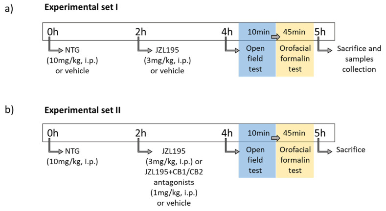 Experimental timeline for the treatment and testing procedures. (a) In the first experimental set, JZL195 (or its vehicle) was administered 2 h after NTG (or its vehicle) and 2 h before the open field test (of 10 min duration); immediately after the open field, rats were injected with formalin (50 μL, s.c.) and the orofacial formalin test was performed (45 min duration). At the end of the test, rats were sacrificed by decapitation and samples collected for ex vivo analysis. (b) The second experimental set was achieved to evaluate CB1 and CB2 involvement: JZL195 was administered in combination with AM251 (CB1 antagonist, 1 mg/kg, i.p.) or AM630 (CB2 antagonist, 1 mg/kg, i.p.) 2 h after NTG and 2 h before the behavioral tests.