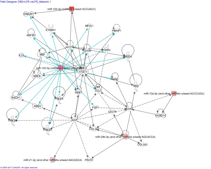 miRNA:mRNA gene network showing the effect of CBD on LPS-stimulated microglial cells, identified by IPA—Network CBD + LPS vs LPS_miR-155-5p.Details are as indicated in Fig 6.