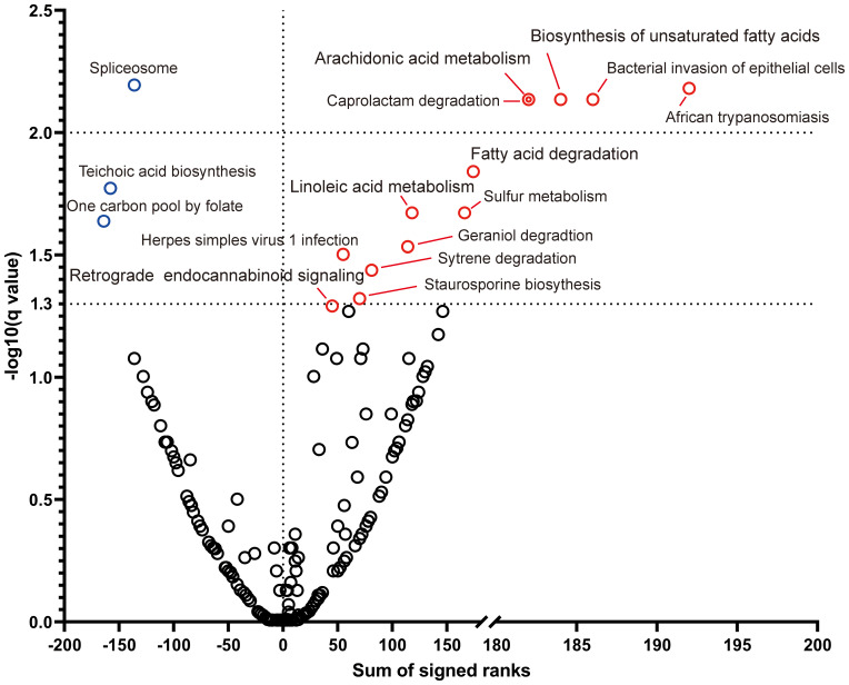 Volcano plot showing enrichment of biological processes. The x-axis represents the sum of signed ranks, and the y-axis shows the negative logarithm of q-values. Key pathways like “Biosynthesis of unsaturated fatty acids” and “Arachidonic acid metabolism” are labeled at the top. Dotted lines indicate significance thresholds. Blue circles signify significant upregulation after intervention, red indicates significant downregulation after intervention, and black denotes non-significant changes.