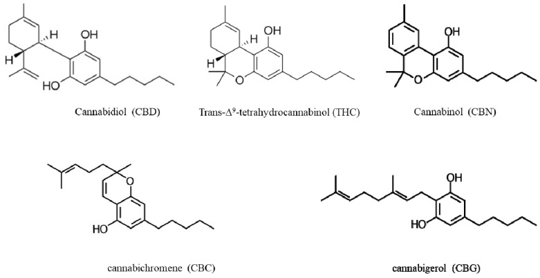 Chemical structures of the main phytocannabinoids found in Cannabis sativa L.
