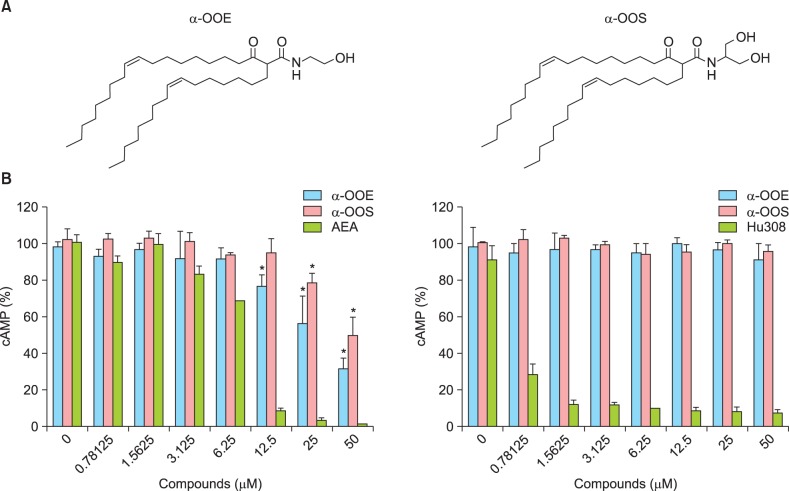 Newly synthesized cannabinoids and the cAMP assay screening for cannabinoid receptor modulators. (A) The structure of α-oleoyl oleoylamine ethanolamine (α-OOE) and α-oleoyl oleoylamine serinol (α-OOS). (B, C) Synthetic compounds were screened in stable CHO cell lines overexpressing cannabinoid receptor-1 (CB1R) or CB2R. Pre-treatment with CBR agonists significantly diminished the cytosolic levels of cAMP induced by 10 µM forskolin (B). N-arachidonoylethanolamine (AEA) and Hu308 were used as controls for CB1R and CB2R, respectively. All data are presented as the mean±standard error, t-test and analysis of variance. *p<0.01.