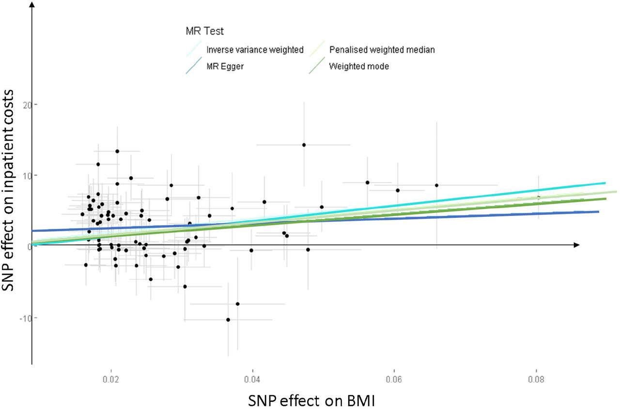 Scatter plot of estimatorsThe InSIDE assumption, which must be satisfied for unbiased MR-Egger estimates, is most likely to hold where the violations of the IV assumptions are caused by pleiotropy that does not influence omitted variables in the BMI-cost association. In practice, there is probably good reason to suspect violations of this type, as any variant that influences, for example, mental health may well be an omitted variable that independently influences both BMI and inpatient costs. In the case of this hypothetical example, instrument strength (measured by the association of BMI) may be correlated with a direct effect of the SNP (via mental health) on the cost outcome. Thus, any variant included amongst the 79 here that causes people to have inpatient care may well induce violations of InSIDE.