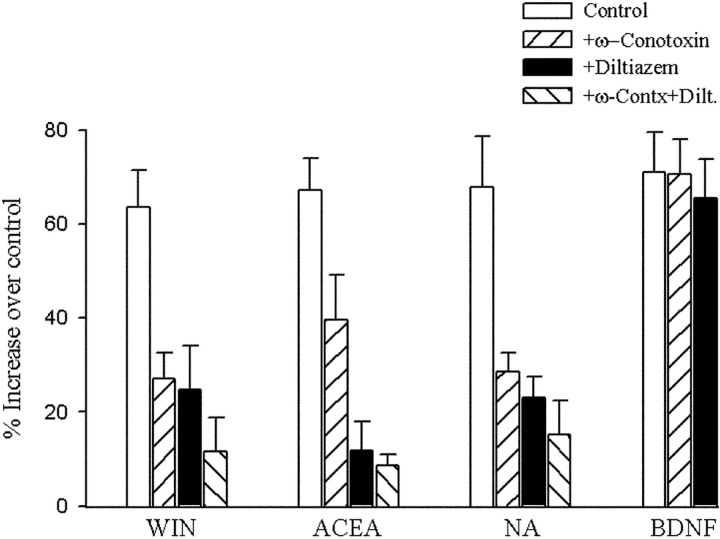 The response to the CB1 agonists requires calcium influx into neurons. Cerebellar neurons were cultured on 3T3 monolayers in control media or media supplemented with 0.2 μM WIN 55,212–2 (WIN), 1 μM ACEA, 1 μM NA, or 5 ng/ml BDNF as indicated. The experiments were done in control media (SATO supplemented with 2% FCS) or media further supplemented with 250 nM ω-conotoxin, and/or 10 μM diltiazem as indicated. In each instance, the cultures were fixed after 18 h, and the length of the longest neurite per cell was determined from ∼120 neurons. The results are pooled from three independent experiments and show the percent increase in mean neurite length relative to control media. Bars show the SEM.