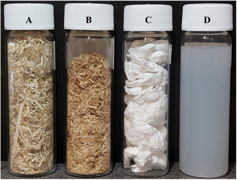 Photograph of (A) RH, (B) AH, (C) BH and (D) acid hydrolyzed suspension Hemp fibers.