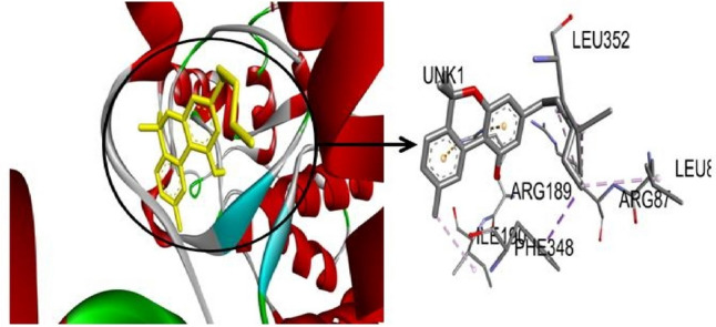 3D visualization of ERK1-Cannabinol