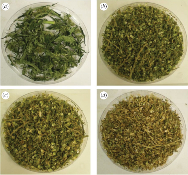 Threshing residues (tops) obtained after four harvests.