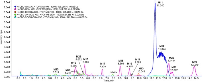 Extracted ion chromatograms of an extract from a urine sample, 3 h after oral ingestion of 25‐mg H4CBD. H4CBD glucuronide (blue, M11 and M12), carboxylated H4CBD glucuronide (red, M13 and M14), monohydroxylated H4CBD glucuronide (pink, M15–M22), and bishydroxylated H4CBD glucuronide (green, M23–M25). An extracted urine sample prior to H4CBD ingestion is shown in Figure S14.