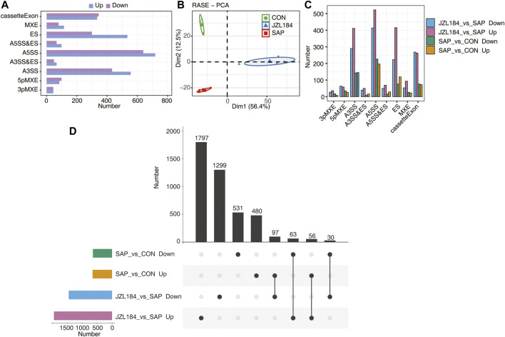 MAGL inhibitor extensively change alternative splicing pattern of genes in intestinal tissue of rats with SAP. (A) Bar plot showing the MAGL regulated alternative splicing event (RASE) numbers by classifying them into nine type. (B) PCA base on Ratio value of the MAGL regulated alternative splicing event (RASE). The ellipse for each group is the confidence ellipse. The results showed that the confidence ellipsis of the three groups did not overlap and the samples were obviously discriminated; (C) Bar plot showing the MAGL regulated alternative splicing event (RASE) numbers in the four comparison groups. 480 ASEs were specifically upregulated in the SAP group compared with the control group, 1797 ASEs were specifically upregulated in the JZL184 group compared with the SAP group, 1,299 ASEs were specifically downregulated in the JZL184 group compared with the SAP group, and 531 ASEs were specifically downregulated in the SAP group compared with the control group; (D) Overlap analysis plots of RASE in each group. 97 ASEs were downregulated in the JZL184 group compared with the SAP group, but were upregulated in the SAP group compared with the control group; n = 3 in control group. n = 4 in SAP group and JZL184 group.