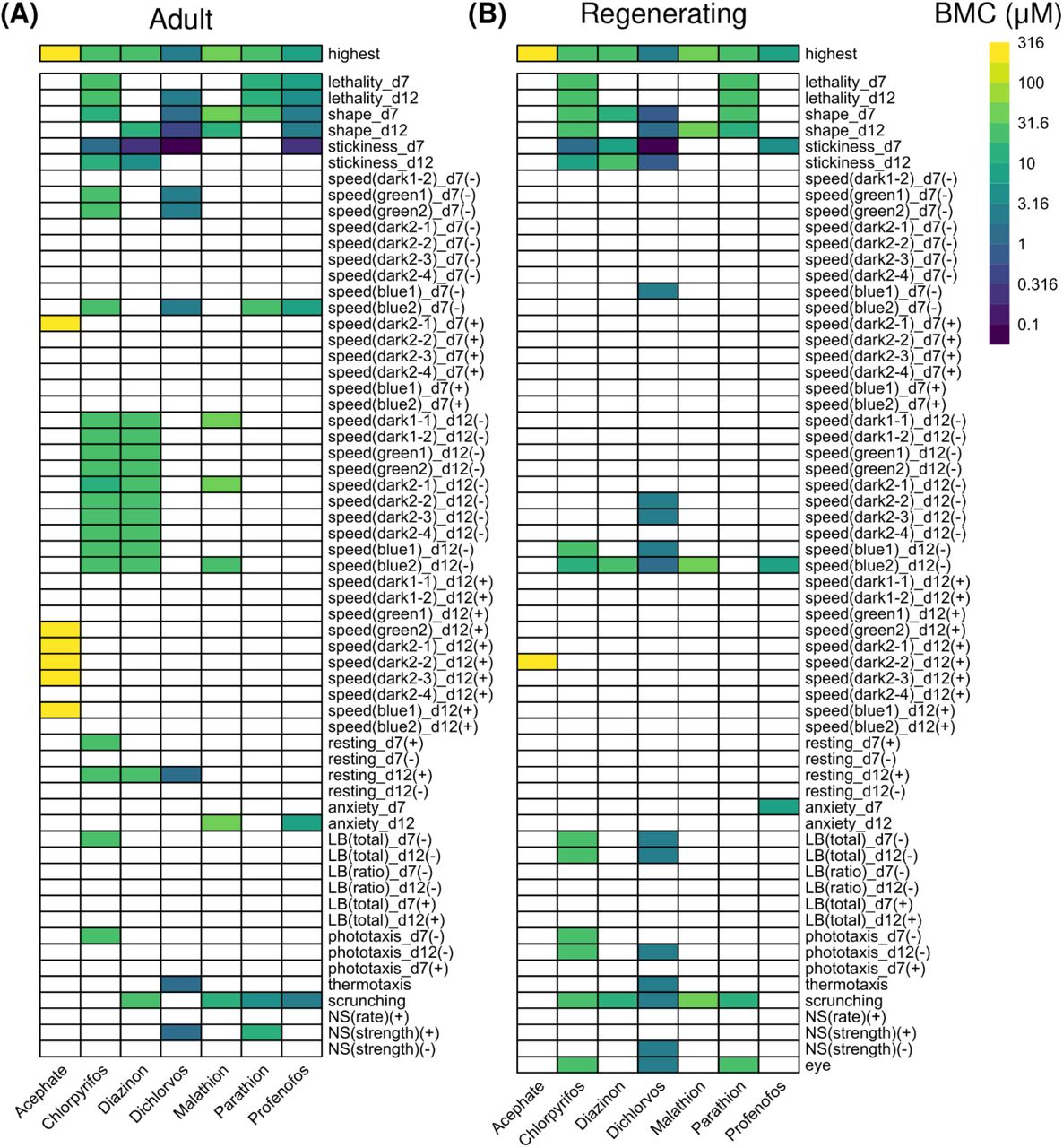 Comparison of OP toxicity.Heatmaps comparing the benchmark concentrations (BMCs) for the OPs in adult (A) and regenerating (B) planarians. The first row shows the highest tested concentration. For outcome measures that can have effects in both directions, the BMCs are separated by either the positive (+) or negative (-) direction. LB: locomotor bursts; NS: noxious stimuli.