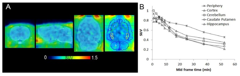 [11C]KP23 PET images of a rat brain superimposed on an MRI template . A: From left, axial, sagittal and coronal sections. In the last coronal image, regions of interest are encircled and used for TAC analysis shown in B. a, cortex; b, cerebellum; c, caudate putamen; d, hippocampus. Images are averaged from 2–60 min p.i. B TACs of rat brain regions of [11C]KP23.