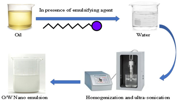 A diagram illustrating preparation of the oil/water nanoemulsion preparations.