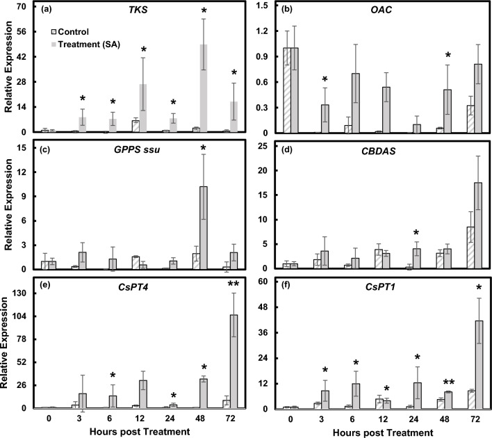 Real time PCR analysis of cannabinoid biosynthetic genes following SA treatment over a 72-h period. Graphs shown include genes: (a) TKS, (b) OAC, (c) GPPS ssu, (d) CBDAS (e) CsPT4 and (f) CsPT1. Results were averaged from four biological replicates. Statistical analysis was performed in comparison to DMSO control at each time point using Student’s t-test. *indicates p ≤ 0.05. **indicates p ≤ 0.01. ***indicates p ≤ 0.001 (n = 4).