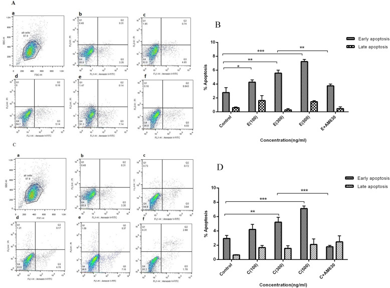 The apoptotic effects of EP and CS extracts on human lung cancer cells. The A549 cells were treated with 100, 300 and 500 ng/mL of EP and CS extracts separately for 36 h and apoptosis was analyzed by annexin-V and PI staining using flow cytometry. A: represents the flow cytometry histograms indicating the gating strategy (a), un-treated cells (b), cells treated with 100 ng/mL of EP (c), 300 ng/mL of EP (d), 500 ng/mL of EP (e) and 300 ng/mL of EP + 50 ng/mL of AM630 (f). B: represents percentages of cells at the early and late apoptosis stages following EP treatment. C: represents the flow cytometry histograms indicating the gating strategy (a), un-treated cells (b), cells treated with 100 ng/mL of CS (c), 300 ng/mL of CS (d), 500 ng/mL of CS (e) and 300 ng/mL of CS + 50 ng/mL of AM630 (f). D: represents percentages of cells at the early and late apoptosis stages following CS treatment. Data represent mean ± SD of three separate experiments. The statistical differences between treated and untreated groups were analyzed by ANOVA and are indicated by asterisks (* = P < 0.05, ** = P < 0.01, *** = P < 0.001)