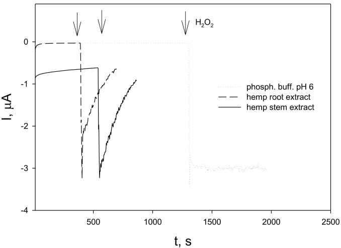 Responses of GC/PB in phosphate buffer (pH 6) fibre hemp (C. sativa) root and stem extracts to the addition of H2O2, operating potential 0.0 V. Arrows indicate the moments of H2O2 addition.