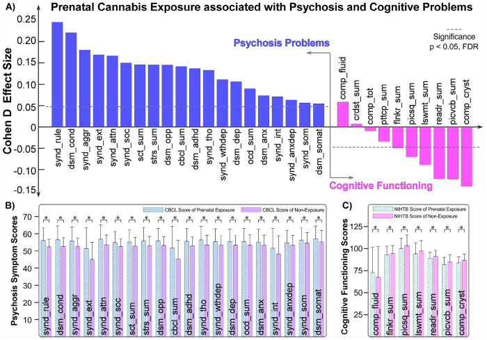 Associations between prenatal cannabis exposure (PCE) and offspring’s mental health and cognitive functioning during late childhood.A) PCE is associated with elevated psychopathology scores on the Child Behavior Checklist (CBCL) and generally reduced cognitive performance on the NIH Toolbox Cognition Battery (NIHTB) among children aged 9–10 years. Effect sizes (Cohen’s d) estimated from linear mixed-effects models are shown for each assessment. B) Group comparisons of CBCL psychopathology scales between children with and without PCE reveal consistently higher symptom severity among exposed children, with the most pronounced difference observed for the Rule-Breaking Behavior scale. Significant group differences are identified across all 20 CBCL scales. C) Comparisons of NIHTB cognitive performance indicate generally lower cognitive functioning among exposed children, with the largest difference observed for the composite crystallized cognition score. A reverse effect is noted for the composite fluid cognition score, where exposed children demonstrate modestly better performance. Significant group differences are observed in 7 NIHTB measures. Bars represent mean scores, and error bars indicate standard deviations. * indicates significance with p< 0.05, False discovery rate (FDR)-corrected.