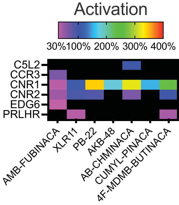 Activity of the SCRAs AMB-FUBINACA, XLR11, PB-22, AKB-48, AB-CHMINICA, CUMYL-PINACA, and 4F-MDMB-BUTINACA at 30 μM in a β-arrestin recruitment screen. Heatmap depicting targets where above-threshold activation (>30%) was reached with at least one SCRA. The full list of targets screened is included as Supplementary Table 1.