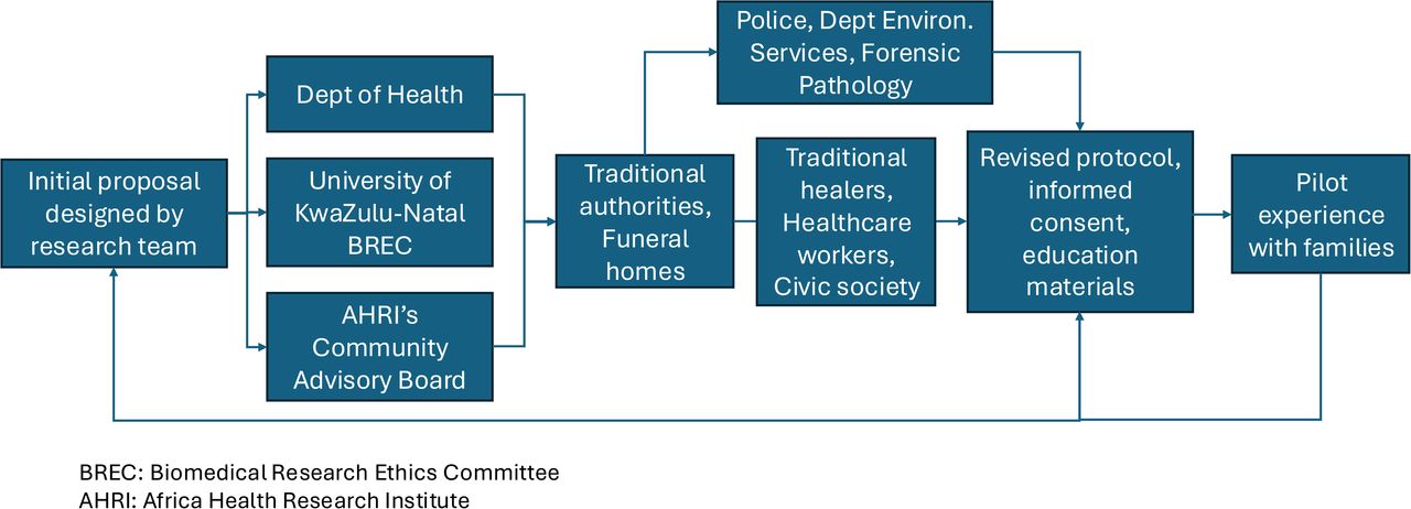 Collaborative Framework for Protocol Development and Implementation.This diagram outlines the comprehensive approach taken by the research team at the Africa Health Research Institute (AHRI). It highlights the initial proposal design with the Department of Health, University KwaZulu-Natal Biomedical Research Ethics Committee, and the community advisory board. It then shows progression through the extensive community and institutional engagement process involving traditional authorities, funeral homes, healthcare workers, civic society, the police department, environmental services, and forensic pathology. The figure illustrates the iterative process of refining protocols, informed consent, and educational materials through pilot experiences with families and community partners.