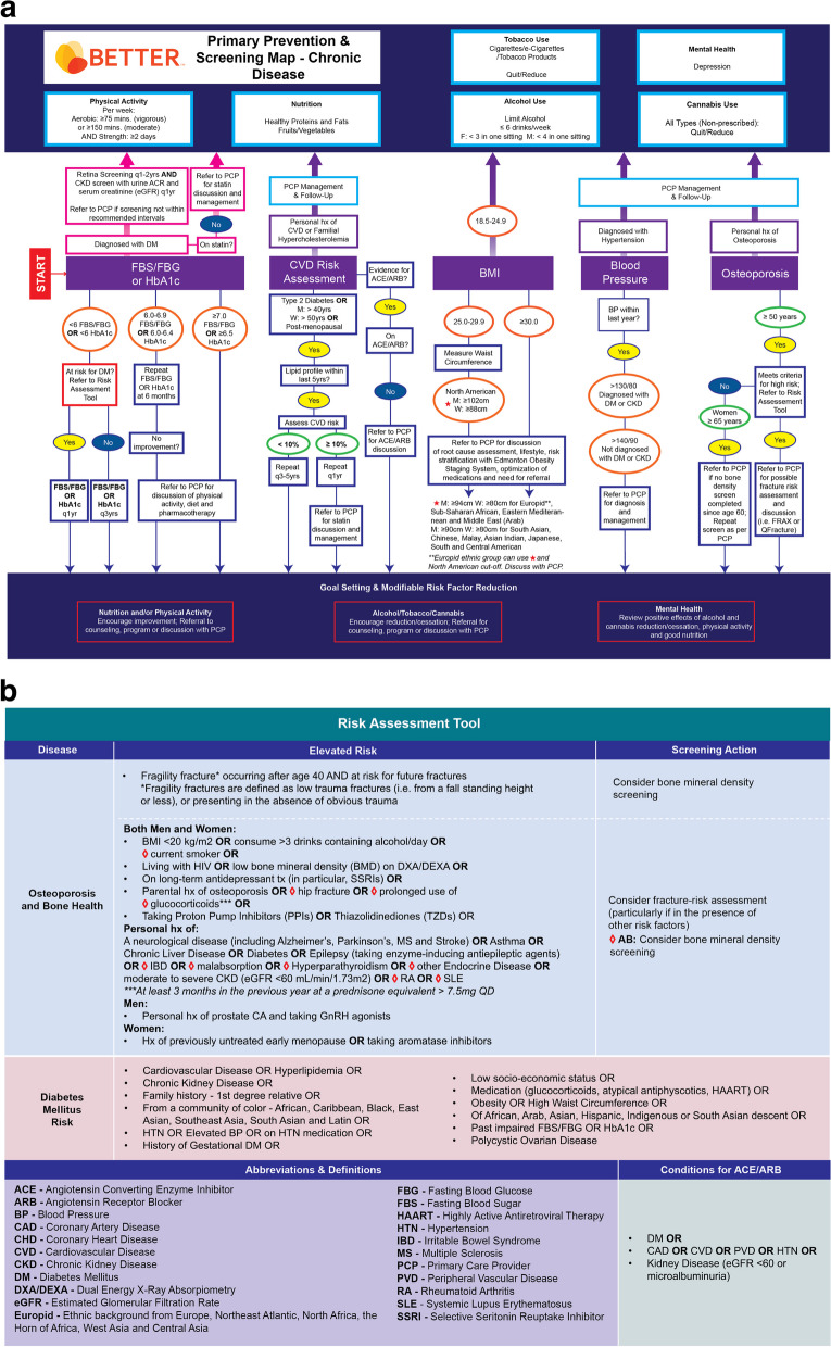 a The BETTER Primary Prevention and Screening Care Map – Chronic Disease (front). B The BETTER Primary Prevention and Screening Care Map – Chronic Disease (back)