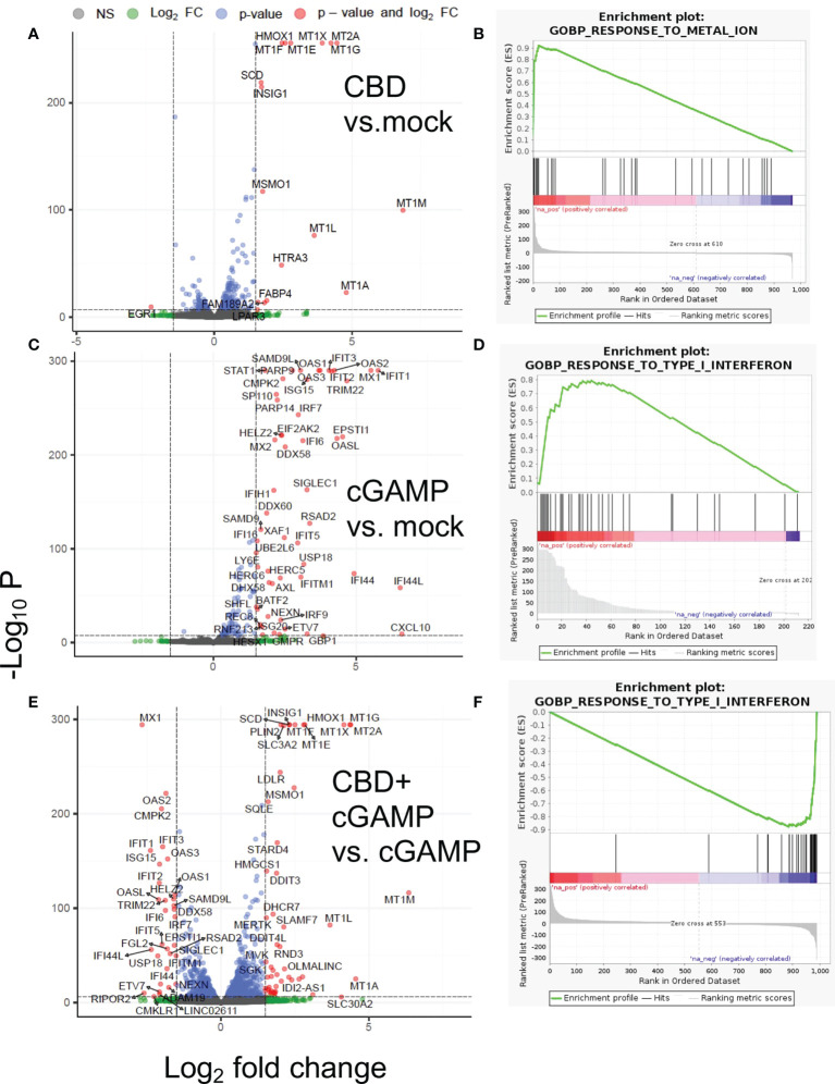 Differential gene expression and gene set analysis of RNA-seq data. THP-1 cells were treated with vehicle or 10ug/ml CBD and co-stimulated with 2’3’-cGAMP for 8 hours. Afterwards, we extracted RNA for transcriptomics analysis through RNA-seq. Volcano plot and gene set analysis comparing CBD treatment alone to mock (A, B), 2’3-cGAMP treatment alone to mock (C, D), 2’3’-cGAMP and CBD cotreatment compared to 2’3’-cGAMP treatment alone (E, F).