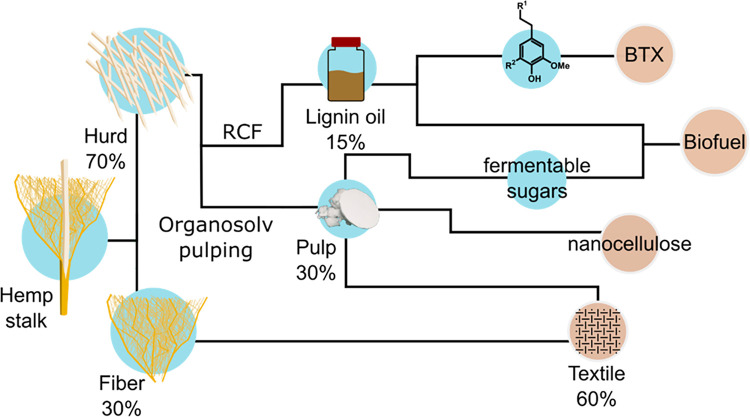 Hemp Hurd Valorized by RCF to Yield a Lignin Oil and Organosolv Pulping to Yield Textile Fiber