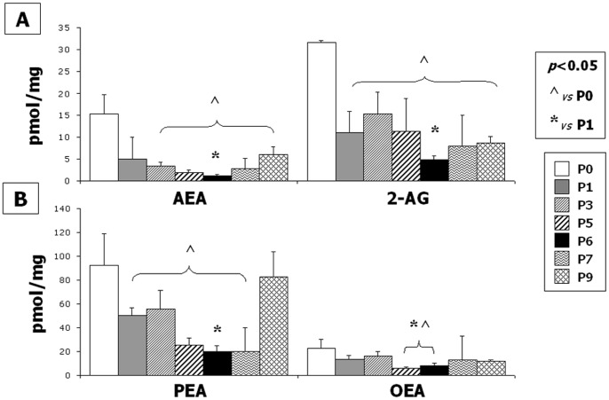 Endocannabinoid levels.Human mesenchymal stem cells (MSCs) contained measurable amounts of AEA, 2-AG (A), PEA and OEA (B). A significantly decrease of all the endocannabinoids was detected during expansion passages from P1 to P9 with respect to P0. The minimum amount of AEA, 2-AG and PEA was detected at P6 (AEA 1.26±0.27 pmol/mg extract; 2-AG 4.79±0.81 pmol/mg extract; PEA 20.10±4.76 pmol/mg extract). The minimum amount of OEA was detected at P5 (AEA 6.13±1.11 pmol/mg extract). Data are represented as a mean ± SD from N = 6 experiments. A t-test has been used for statistical analysis. p<0.05 has been considered statistically significant.
