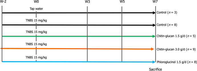 Long-lasting visceral hypersensitivity in rats. Chitin-glucan analgesic effect evaluated by pain thresholds at week (W)-2-0-3-5-7.