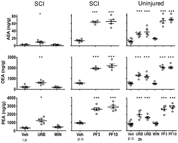 Fatty acid amide concentrations in lumbar spinal cord from SCI rats or uninjured rats following treatment with FAAH inhibitors, WIN 55,212-2 and vehicle.Rats were treated with either URB597 (URB; 3 mg/kg, i.p.), WIN 55,212-2 (WIN; 3 mg/kg, s.c.) or vehicle (Veh; 1.5 ml/kg, i.p.) for seven days and euthanized four hours following the last treatment. One group of uninjured rats was treated once with URB597 and euthanized two hours (2 h) following treatment. Rats that received PF-3845 (PF3, PF10) were treated once (3, 10 mg/kg, p.o.) and euthanized four hours following dosing. Levels of AEA, OEA and PEA from each rat are shown, the thick horizontal line is the mean and the thin horizontal lines are the S.E.M. n = 4–10/group. * p<0.05, **p<0.01, ***p<0.001 vs. vehicle (Student's t-test).