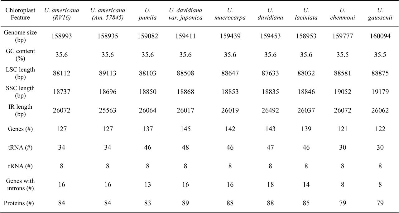 Comparison of Ulmus americana chloroplast genomes with the published genomes of seven Asian elms.