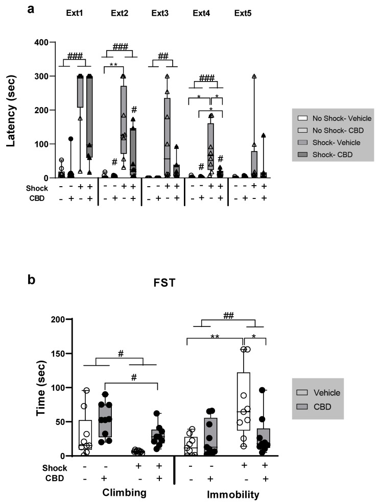 The effect of CBD on behavior in female rats exposed to shock and situational reminders (SRs). (a) On day 30, rats underwent five extinction (Ext) trials, with 24 h intervals between each trial. During each trial, rats were allowed to explore the dark chamber for 180 s before being returned to their home cages. Latency to cross into the dark chamber (in seconds) was measured. Shocked groups exhibited increased latency to enter the dark chamber compared to no-shock groups across extinction (Ext) days 1–4. On Ext days 2 and 4, the shock–vehicle group showed a significantly higher latency compared to the no-shock–vehicle group. On Ext day 4, the shock–vehicle group also exhibited increased latency compared to the shock–CBD group. Group sizes: No-shock–vehicle and no-shock–CBD: n = 9; shock–vehicle: n = 8; shock–CBD: n = 7. (b) On days 35–36, a forced swim test (FST) was conducted. Rats were exposed to the swim tank for 15 min on the first day and 5 min on the second day. Videos from the second day were analyzed to assess active coping (climbing) and passive coping (immobility). For climbing behavior (left), non-stressed and CBD-treated females exhibited more climbing (i.e., active coping). Exposure to shock and SRs increased immobility compared to no-shock groups (right); the shock–vehicle group exhibited significantly higher immobility compared to both the shock–CBD and no-shock–vehicle groups. Group size: n = 9 for each group. *, p < 0.05; **, p < 0.01 indicate statistically significant effects followed by post hoc comparisons; #, p < 0.05; ##, p < 0.01; ###, p < 0.001 indicate statistical significance in main effects.