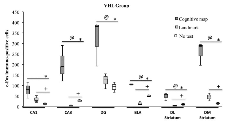 c-Fos activation in hippocampal CA1 and CA3 and dentate gyrus (DG), basolateral amygdala (BLA), dorsolateral (DL) and dorsomedial (DM) striatum exhibited by animals injected with vehicle (VHL) according to the landmark- or cognitive map-related navigational strategy carried out in CHB and in No test condition. Data were analyzed by Kruskal-Wallis test followed by Mann-Whitney U when appropriate. VHL animals which carried out the cognitive map-related navigational strategy showed a number of c-Fos+ cells significantly (@, p = 0.05) higher than the VHL animals which carried out landmark-related navigational strategy in all regions of interest but in CA1. Furthermore, VHL animals that carried out the cognitive map-related navigational strategy showed a number of c-Fos+ cells significantly (*, p = 0.05) higher than the not tested VHL animals in all regions analyzed. In comparison to not tested VHL animals, the VHL animals that carried out the landmark-related navigational strategy showed a number of c-Fos+ cells significantly (+, p = 0.05) higher in CA1 and DM Striatum, lower in CA3, BLA and DL Striatum and not statistically different in DG.