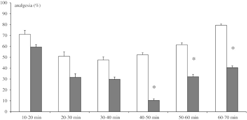 Effect of neonatal DSP-4 lesioning (50 mg/kg sc on the 1st and 3rd days of postnatal life) on antinociception effects assessed in the writhing test after methanandamide (10 mg/kg ip) treatment in rats (mean ± SEM; n = 8). Legend as in Fig. 3