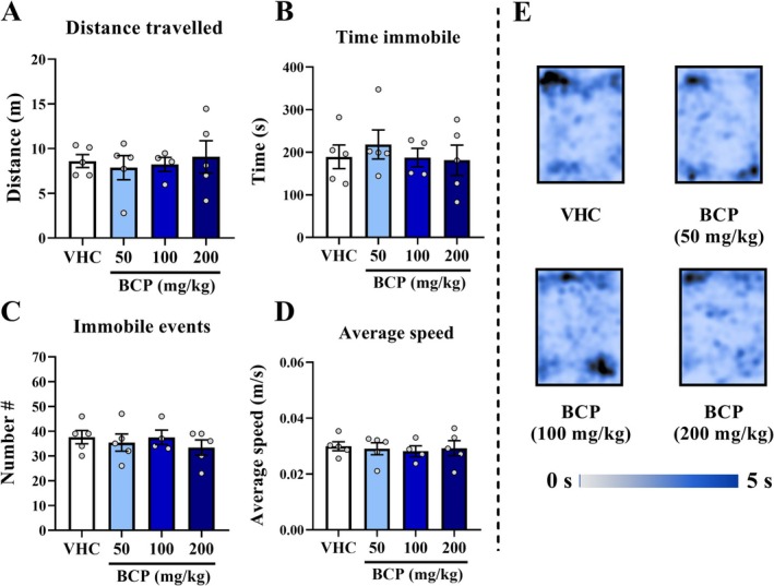 Locomotion results from chronic pharmacological assay: The locomotion test was performed 30 min after VHC or BCP oral administrations and the test lasted 10 min, as well as the entries schedule were randomly between groups. (A) Distance travelled (m). (B) Immobile time (s). (C) Number of immobile events. (D) Average speed (m/s): calculated by distance travelled divided by mobile time. (E) Heat map of groups' trajectory. All data were expressed as mean ± SEM At all analyses, there are no significant differences between groups: p > 0.05.